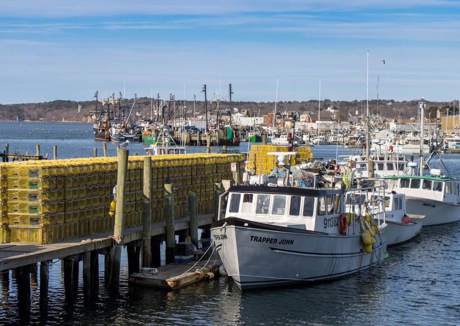 Coastal harbor view with moored fishing boats and lobster traps in bright sunlight.